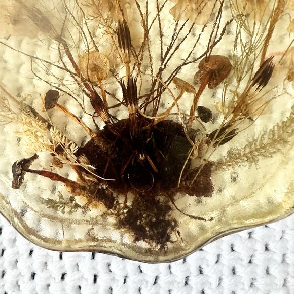 Resin Scalloped Edged Dried Preserved Pressed Wildflowers Seashell Wall Hanging - Picture 7 of 7